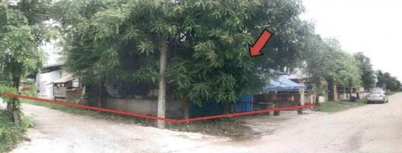 ดงแดง จตุรพักตรพิมาน ร้อยเอ็ด